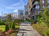 50MP main camera photos - 23mm, f/1.9, ISO 71, 1/1625s (8192x6144px) - Iqoo 15 review