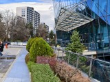 2x crop zoom daylight photos - 46mm, f/1.9, ISO 71, 1/244s (4096x3072px) - Iqoo 15 review