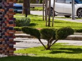 10x crop zoom daylight photos - 243mm, f/2.7, ISO 71, 1/386s (4096x3072px) - Iqoo 15 review