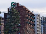 10x crop zoom daylight photos - 243mm, f/2.7, ISO 71, 1/356s (4096x3072px) - Iqoo 15 review