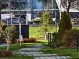 10x crop zoom daylight photos - 243mm, f/2.7, ISO 71, 1/311s (4096x3072px) - Iqoo 15 review