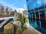 Ultrawide camera daylight photos - 16mm, f/2.0, ISO 86, 1/100s (4080x3072px) - Iqoo 15 review