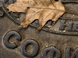 10x crop low-light photos - 243mm, f/2.7, ISO 3550, 1/8s (4096x3072px) - Iqoo 15 review