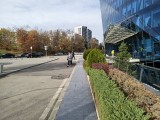 Main camera - 24mm, f/1.8, ISO 100, 1/315s (4096x3072px) - Motorola Edge 70 review