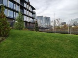 Main camera - 24mm, f/1.8, ISO 132, 1/200s (4096x3072px) - Motorola Edge 70 review