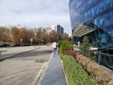 Main camera, 50MP - 24mm, f/1.8, ISO 100, 1/344s (8192x6144px) - Motorola Edge 70 review