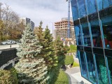 Main camera, 50MP - 24mm, f/1.8, ISO 141, 1/200s (8192x6144px) - Motorola Edge 70 review