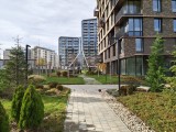 Main camera, 50MP - 24mm, f/1.8, ISO 118, 1/200s (8192x6144px) - Motorola Edge 70 review