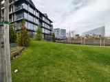 Main camera, 50MP - 12mm, f/2.0, ISO 123, 1/100s (4080x3060px) - Motorola Edge 70 review