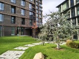 Ultrawide camera - 24mm, f/1.8, ISO 170, 1/200s (8192x6144px) - Motorola Edge 70 review