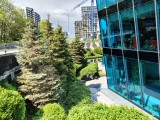 Main camera - f/1.8, ISO 100, 1/444s - Motorola Moto G Stylus 5G 2025  review