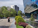 Main camera, 2x zoom - f/1.8, ISO 101, 1/2036s - Motorola Moto G Stylus 5G 2025  review
