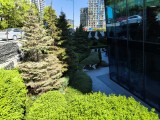 CMF Phone 2 Pro: 12.5MP main camera samples - f/1.9, ISO 100, 1/776s - Nothing CMF Phone 2 Pro review