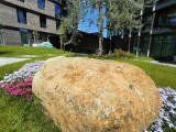 CMF Phone 2 Pro: 8MP ultrawide camera samples - f/2.2, ISO 106, 1/1748s - Nothing CMF Phone 2 Pro review