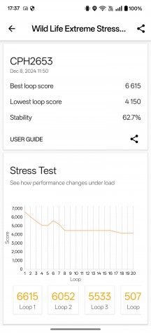 Wild Life Extreme stress test - OnePlus 13 review