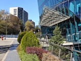 2x crop daylight photos - f/1.8, ISO 50, 1/625s - Oneplus 15 review