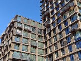2x crop daylight photos - f/1.8, ISO 100, 1/893s - Oneplus 15 review