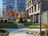 2x crop daylight photos - f/1.8, ISO 50, 1/275s - Oneplus 15 review