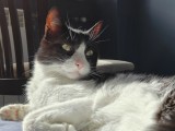 2x crop daylight photos - f/1.8, ISO 125, 1/200s - Oneplus 15 review