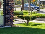 7x crop zoom daylight photos - f/2.8, ISO 64, 1/200s - Oneplus 15 review