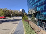 50MP main camera photos - f/1.8, ISO 80, 1/1794s - Oneplus 15 review