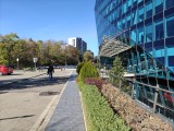 26MP main camera daylight photos - f/1.8, ISO 80, 1/911s - Oneplus 15 review