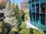 26MP main camera daylight photos - f/1.8, ISO 80, 1/300s - Oneplus 15 review