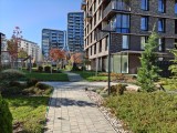 26MP main camera daylight photos - f/1.8, ISO 80, 1/441s - Oneplus 15 review