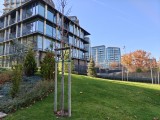 26MP main camera daylight photos - f/1.8, ISO 80, 1/200s - Oneplus 15 review