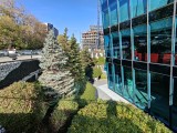 Ultrawide camera daylight photos - f/2.0, ISO 50, 1/661s - Oneplus 15 review