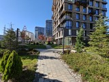 Ultrawide camera daylight photos - f/2.0, ISO 50, 1/1060s - Oneplus 15 review