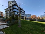 Ultrawide camera daylight photos - f/2.0, ISO 50, 1/769s - Oneplus 15 review