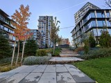 Ultrawide camera daylight photos - f/2.0, ISO 50, 1/449s - Oneplus 15 review