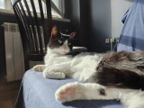 12MP main camera photos - 24mm, f/1.8, ISO 80, 1/228s (4096x3072px) - OnePlus 15 review