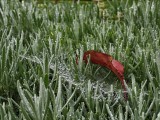 12MP telephoto camera photos - 85mm, f/2.8, ISO 160, 1/200s (4096x3072px) - OnePlus 15 review