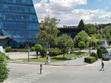 OnePlus Nord CE5: 12.5MP main camera 2x zoom samples - f/1.8, ISO 50, 1/2314s - Oneplus Nord CE5 review