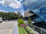 OnePlus Nord CE5: 50MP main camera samples - f/1.8, ISO 64, 1/2326s - Oneplus Nord CE5 review