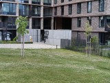 OnePlus Nord CE5: 12.5MP main camera 2x zoom samples - f/1.8, ISO 50, 1/429s - Oneplus Nord CE5 review