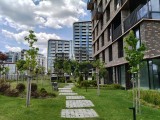 OnePlus Nord CE5: 12.5MP main camera samples - f/1.8, ISO 50, 1/1495s - Oneplus Nord CE5 review
