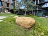OnePlus Nord CE5: 8MP ultrawide camera samples - f/2.2, ISO 50, 1/502s - Oneplus Nord CE5 review