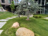 OnePlus Nord CE5: 12.5MP main camera samples - f/1.8, ISO 50, 1/536s - Oneplus Nord CE5 review