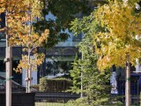 Daylight samples, teleconverter, 20x - f/2.1, ISO 50, 1/125s - Oppo Find X9 Pro review
