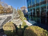 Daylight samples, ultrawide camera (0.6x) - 16mm, f/2.0, ISO 50, 1/521s (4096x3072px) - Realme GT 8 Pro review