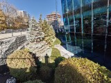 Daylight samples, ultrawide camera (0.6x), 50MP - 16mm, f/2.0, ISO 50, 1/577s (8192x6144px) - Realme GT 8 Pro review