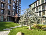 Daylight samples, main camera (1x), 26MP - 24mm, f/1.8, ISO 80, 1/282s (5888x4416px) - Realme GT 8 Pro review