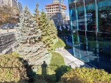 Daylight samples, main camera (1x), 26MP - 24mm, f/1.8, ISO 80, 1/211s (5888x4416px) - Realme GT 8 Pro review