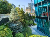 Main camera daylight photos - f/1.8, ISO 50, 1/683s - Realme P3 Ultra review