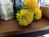 Samsung Galaxy A07 4G: 12.5MP main camera close-up samples - f/1.8, ISO 400, 1/20s - Samsung Galaxy A07 4G review