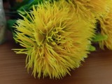 Samsung Galaxy A07 4G: 12.5MP main camera close-up samples - f/1.8, ISO 400, 1/17s - Samsung Galaxy A07 4G review