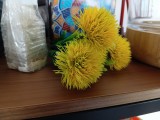 Samsung Galaxy A07 4G: 50MP main camera samples - f/1.8, ISO 320, 1/20s - Samsung Galaxy A07 4G review